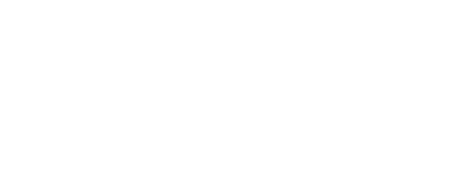 ANE+EF